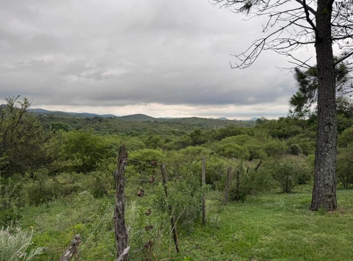 Terreno · 10005m²