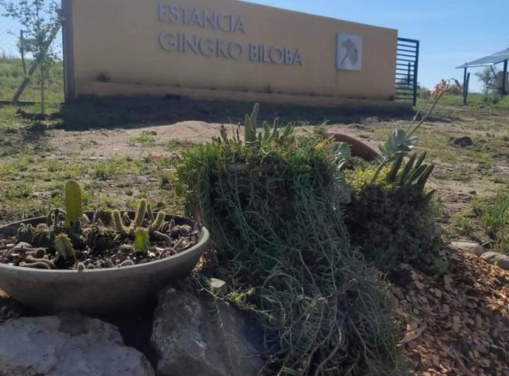Terreno · 872m²