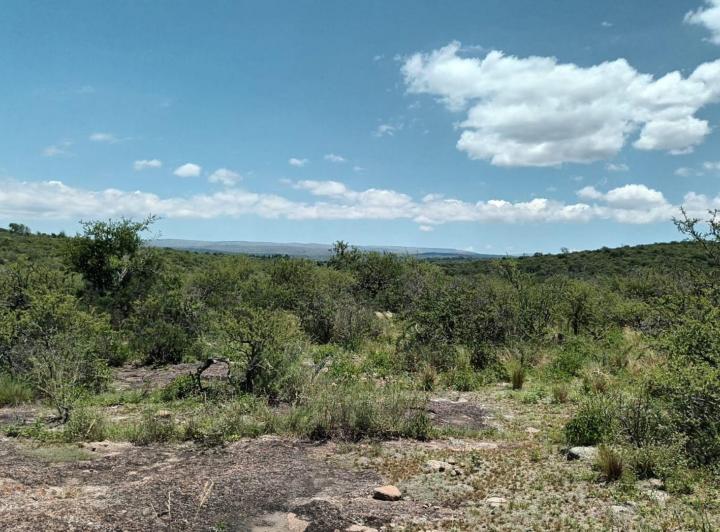 Terreno · 2122m²
