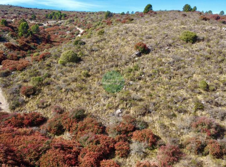 Terreno · 68232m²