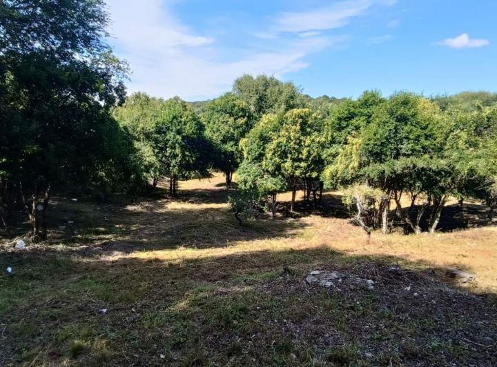 Terreno · 2088m²