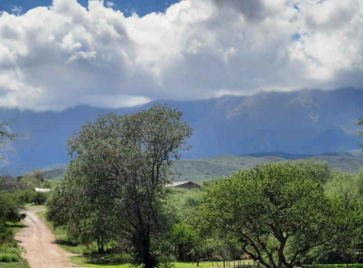 Terreno · 972m²