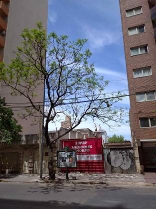 Terreno · 400m²