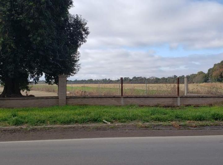 Terreno · 7800m²