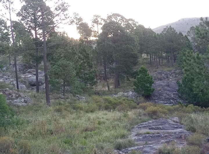 Terreno · 5834m²