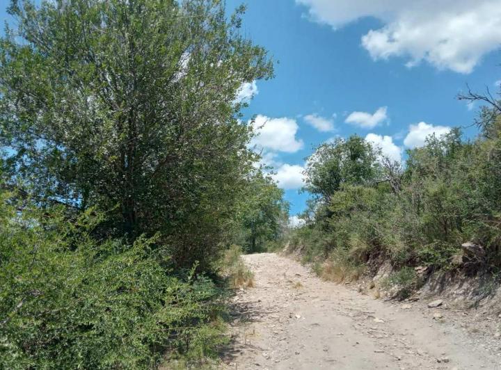 Terreno · 22563m²