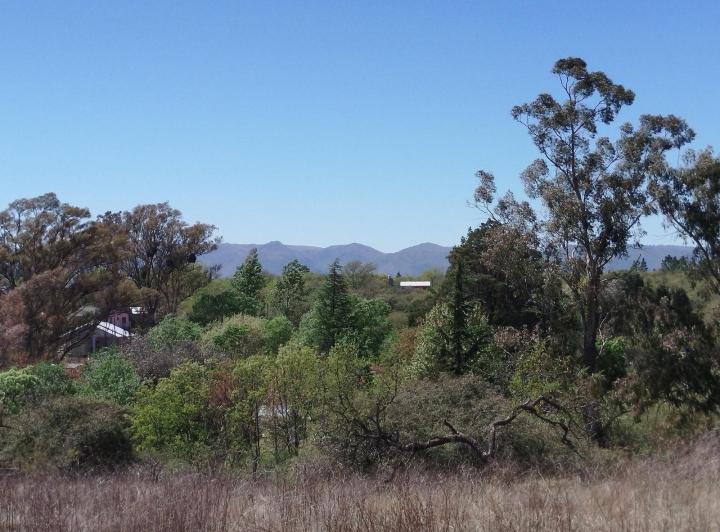 Terreno · 125m²