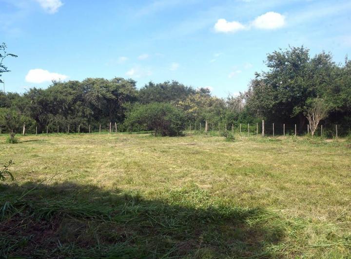 Terreno · 1000m²