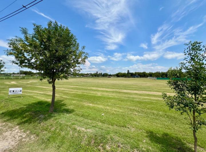 Terreno · 1200m²
