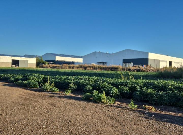 Terreno · 2500m²