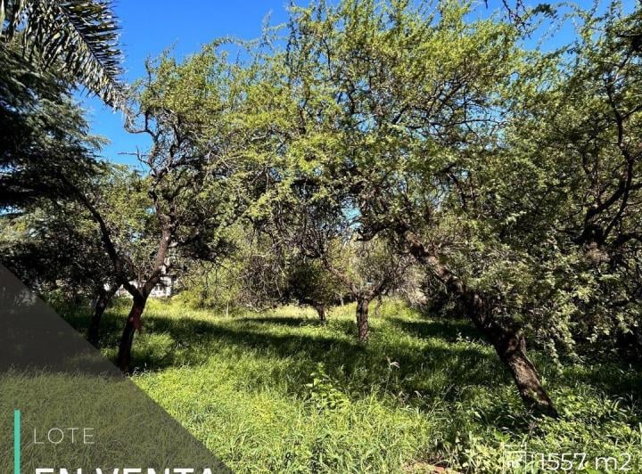 Terreno · 1557m²