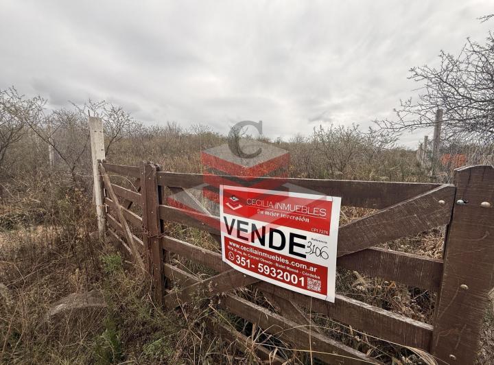 Terreno · 1200m²