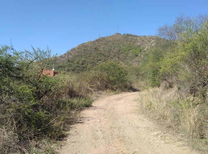 Terreno · 1233m²