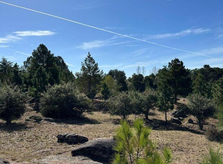 Terreno · 6047m²