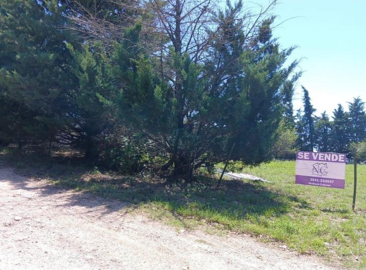 Terreno · 1232m²