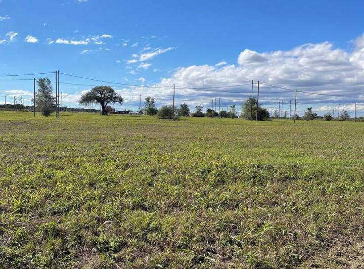 Terreno · 250m²