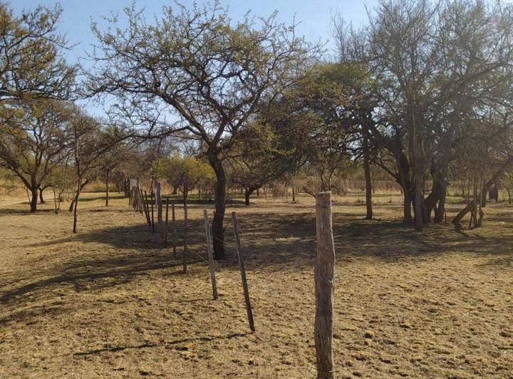 Terreno · 532m²