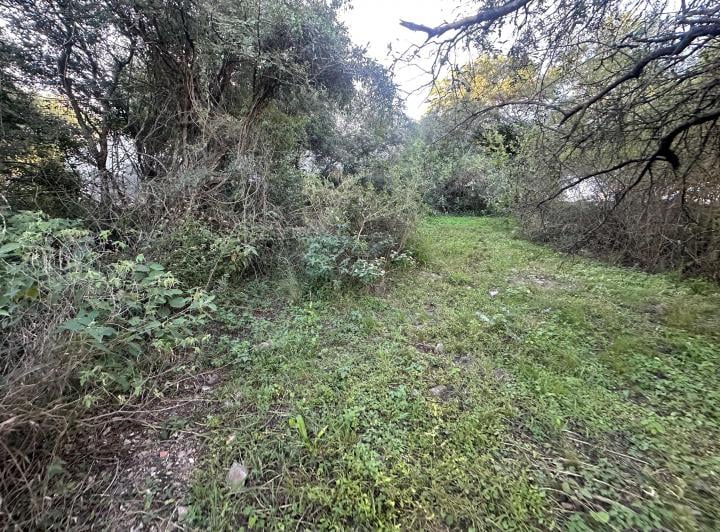 Terreno · 2050m²