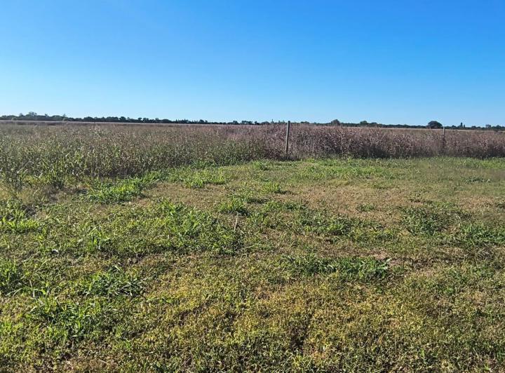 Terreno · 500m²
