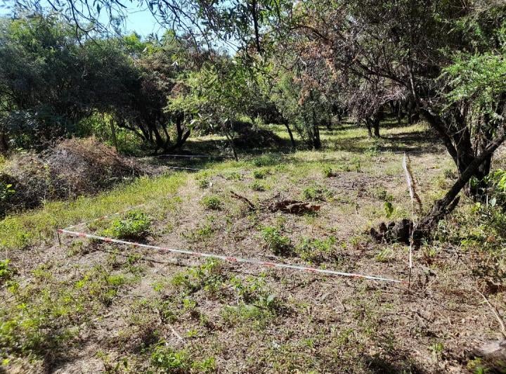 Terreno · 906m²