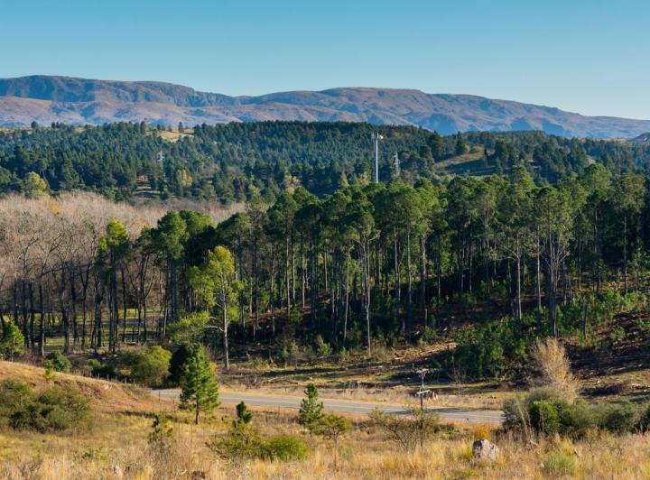 Terreno · 3000m²