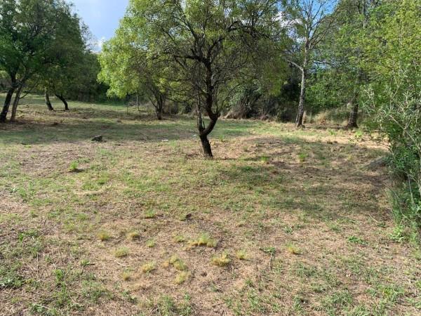Terreno · 800m²