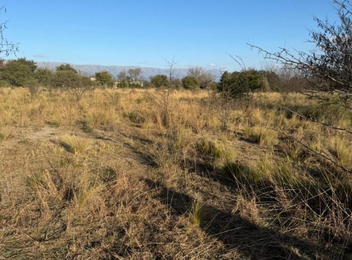 Terreno · 1000m²