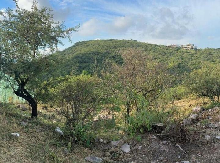 Terreno · 1164m²