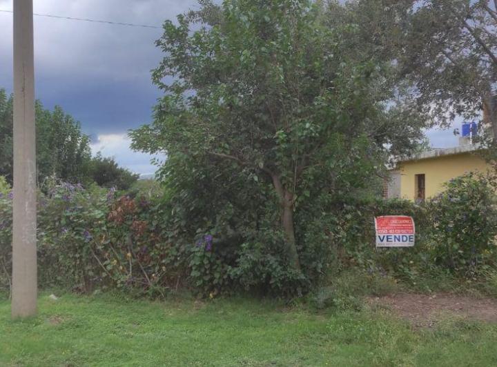 Terreno · 590m²