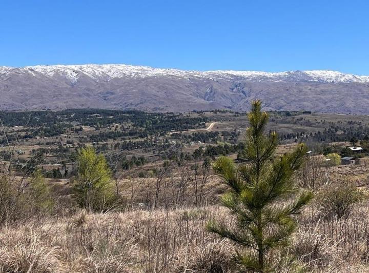 Terreno · 1056m²