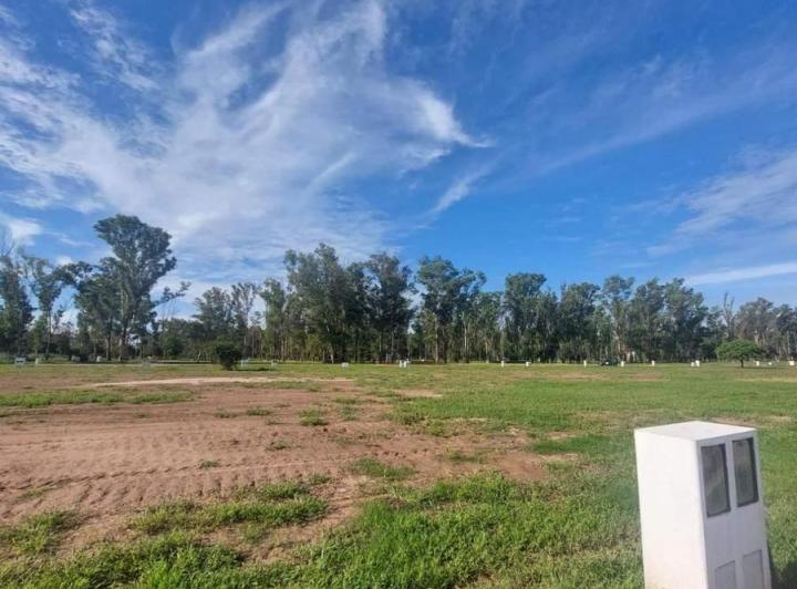 Terreno · 250ha