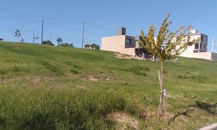 Terreno · 250m²
