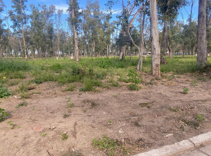 Terreno · 380m²