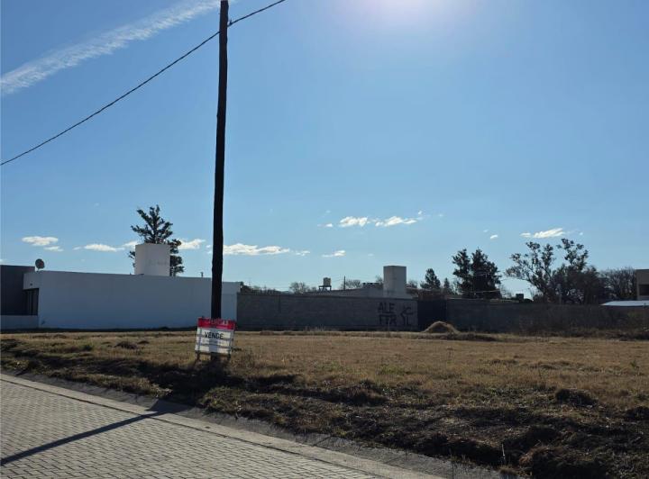 Terreno