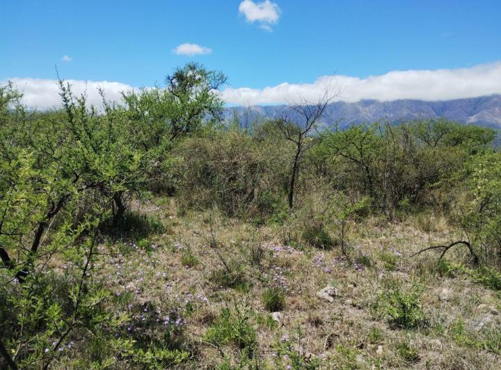 Terreno · 1326m²