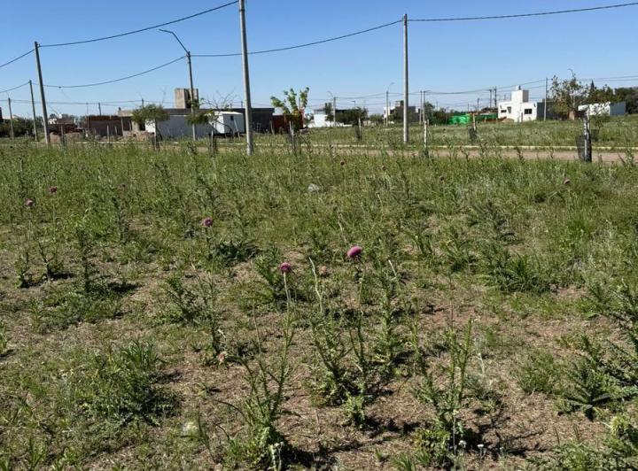 Terreno · 285m²