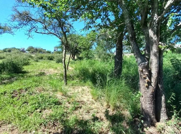 Terreno · 800m²