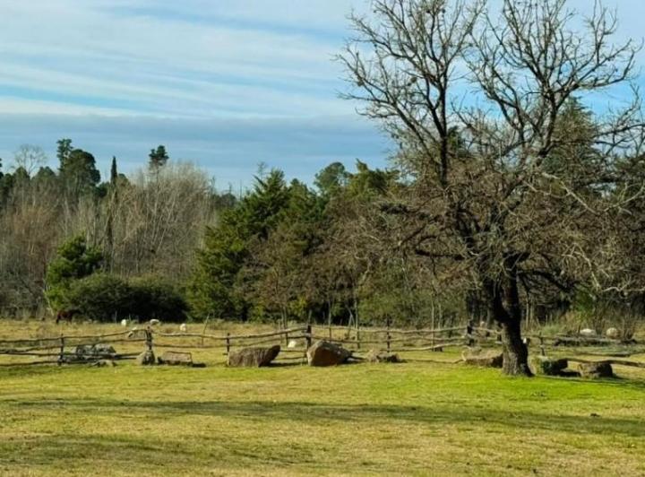 Terreno · 10430m²