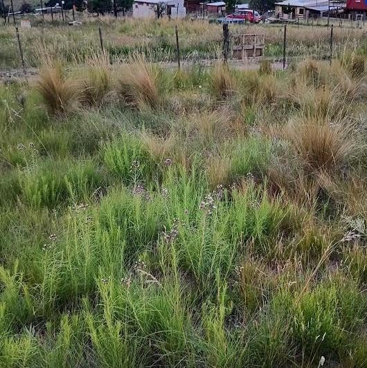 Terreno · 504m²