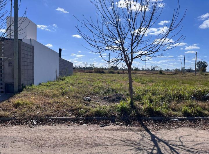 Terreno · 251m²