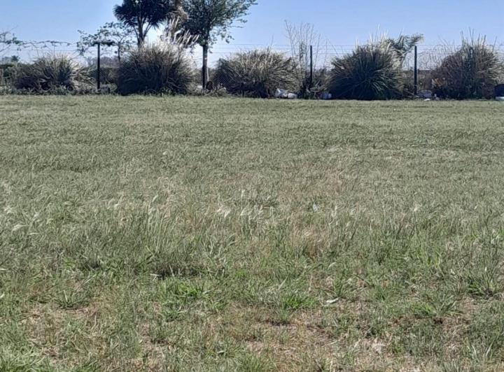Terreno · 482m²