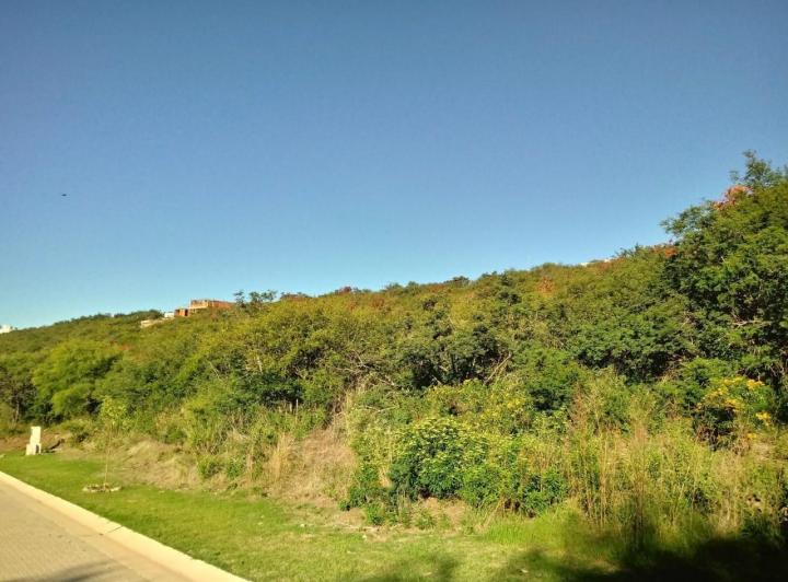 Terreno · 1250m²