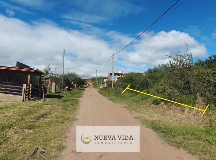 Terreno