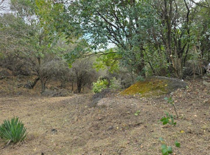 Terreno · 465m²