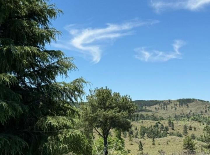 Terreno · 15000m²