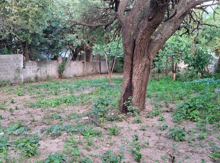 Terreno · 580m²