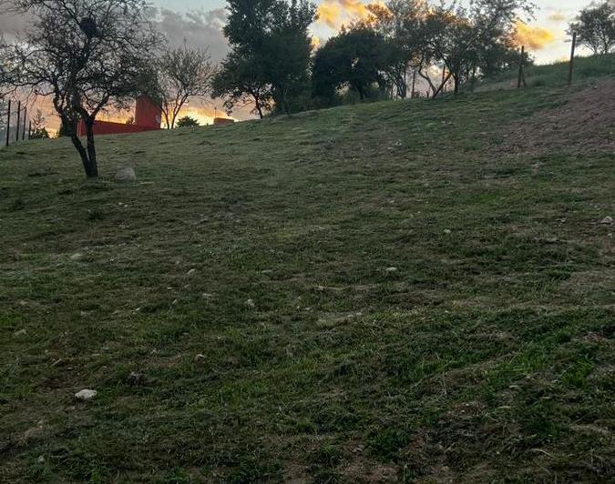 Terreno · 1180m²