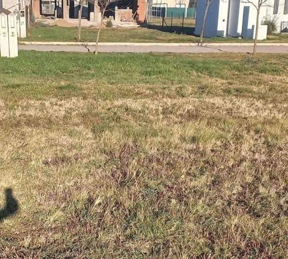 Terreno · 360m²