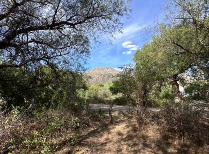 Terreno · 3900m²
