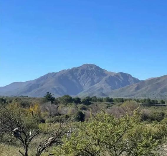 Terreno · 1250m²